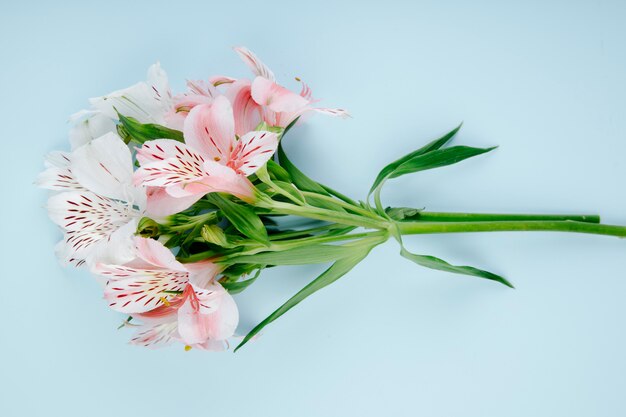 Top view of a bouquet of pink color alstroemeria flowers on blue background
