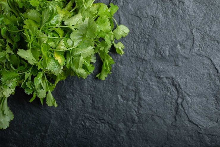 Free Photo top view of branch of fresh coriander over black background