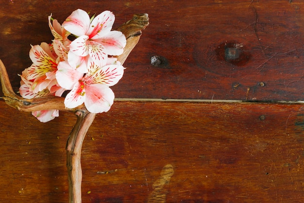 Foto gratuita ramo di vista dall'alto con fiori