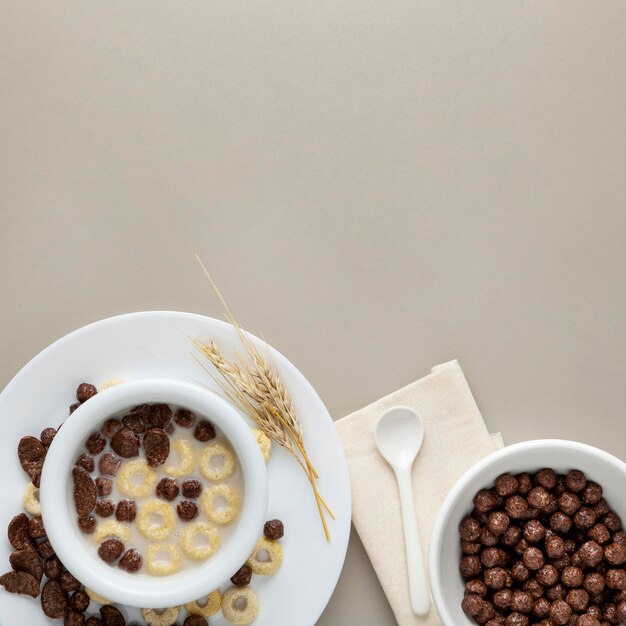 Top view of breakfast cereals in bowl with milk and copy space