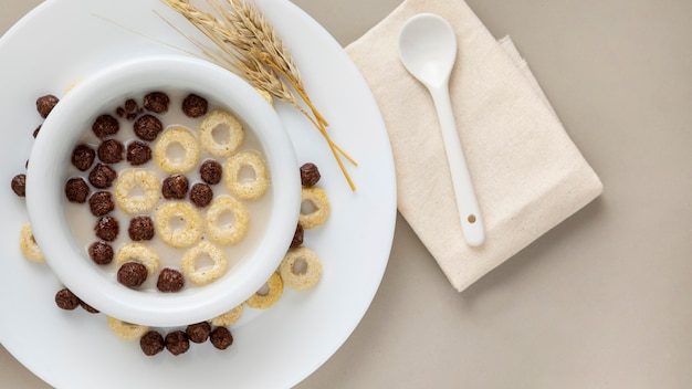 Top view of breakfast cereals in bowl with milk