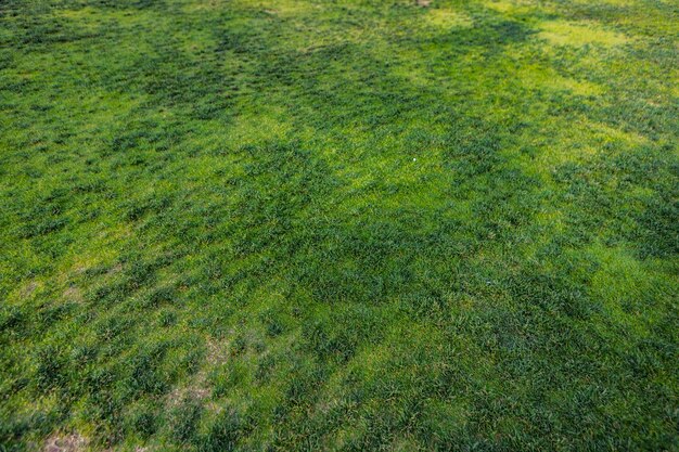 Вид сверху на ярко-зеленую траву текстуры фона
