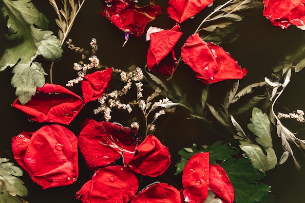 Top view bright red petals in black water