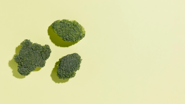 Top view of broccoli with copy space