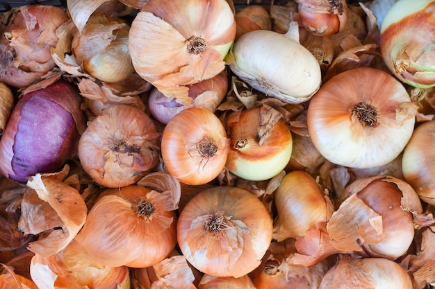 Top view bunch of organic onions