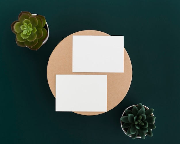 Top view business cards surrounded by plants