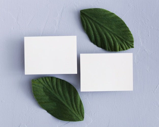 Top view business cards with green leaves