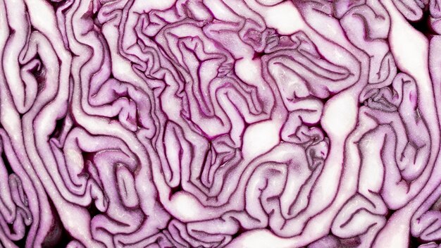 Top view of cabbage