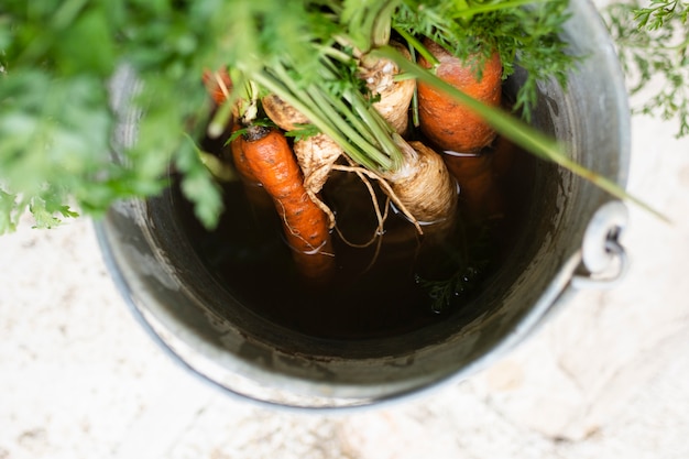 Free photo top view carrots in a grey bucket