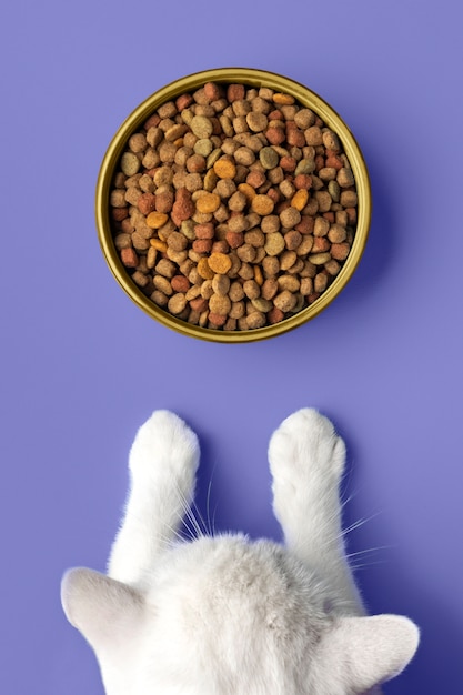 Top view on cat food in the color of the year 2022