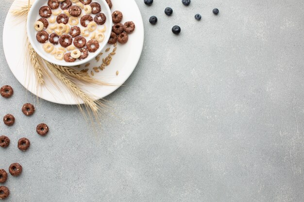 Top view cereal bowl with copy space