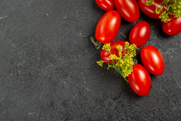 Top view cherry tomatoes and dill flowers on the top right of dark ground with copy space