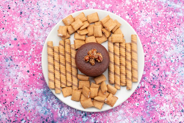 Top view chocolate cake along with crackers and cookies inside white plate on the colored background cookie biscuit sugar sweet