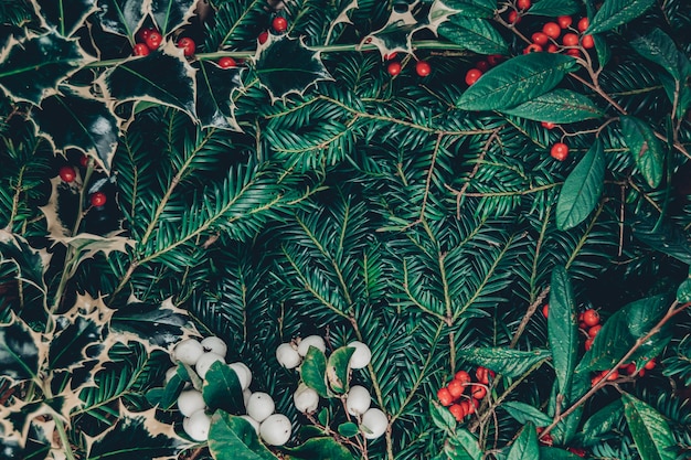 Free photo top view christmas background of wild christmas tree branches, holy plant with berries, red rowanberries and white snowberries, central copy space with a nice frame made of berries and leaves