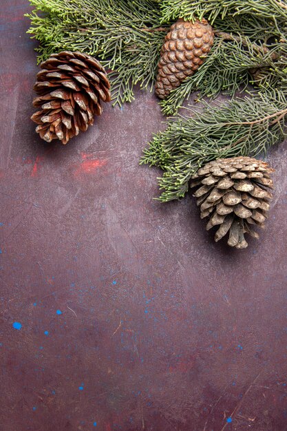 Top view christmas tree with cones on a dark space