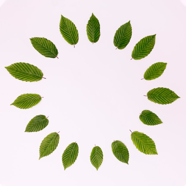 Foto gratuita cerchio di vista superiore delle foglie con lo spazio della copia