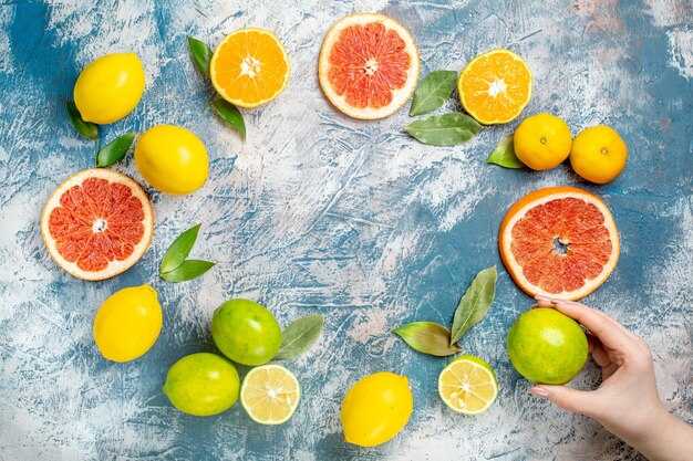 Вид сверху круговой ряд цитрусовых лимонов нарезанных грейпфрутов мандаринов лимон в руке женщины на синем белом столе