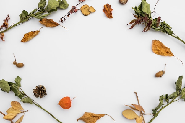 Top view circular frame with autumn leaves