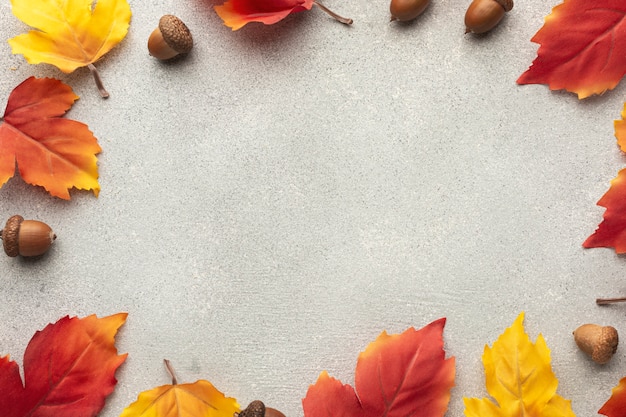 Top view circular frame with leaves and acorns