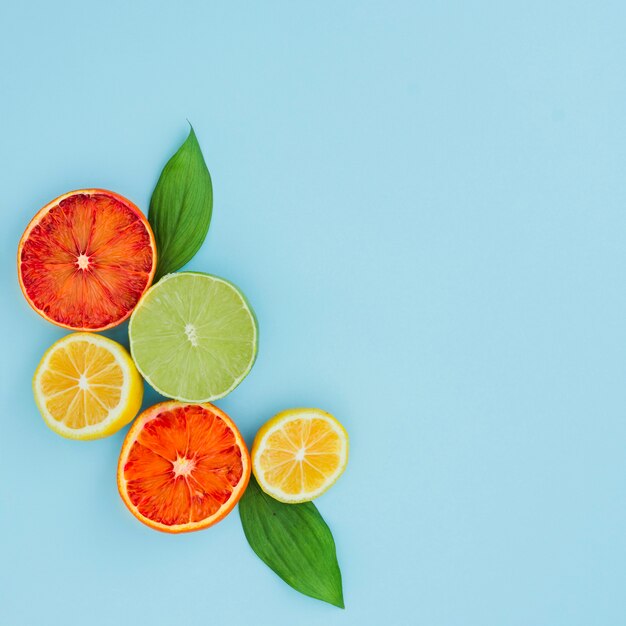 Top view citrus fruits corner