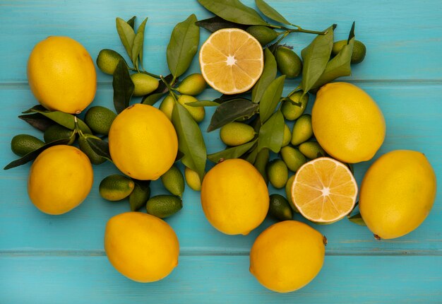 Top view of citrus fruits such as kinkans and lemons with leaves isolated on a blue wooden surface