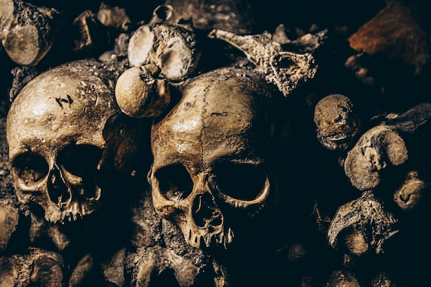 Top view closeup of various skeletons - Catacombs of Paris