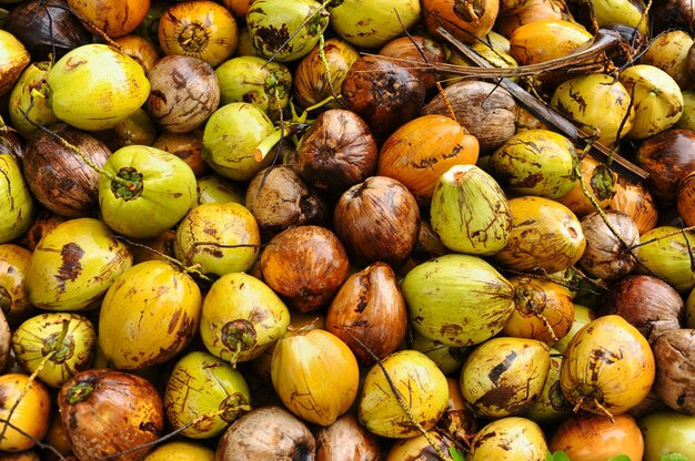 Top view of coconuts displayed at the market