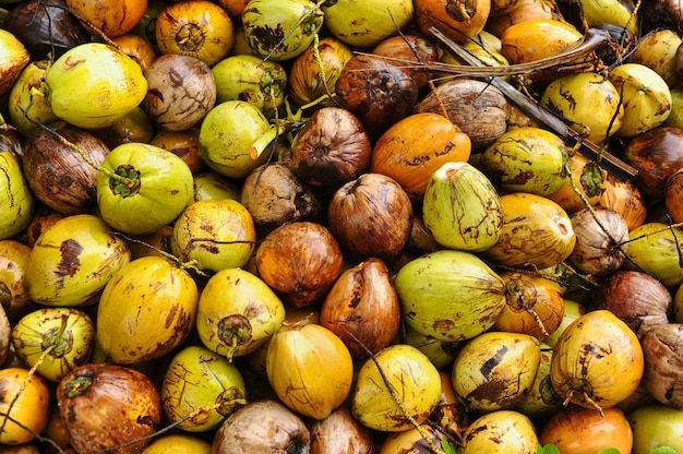 Top view of coconuts displayed at the market