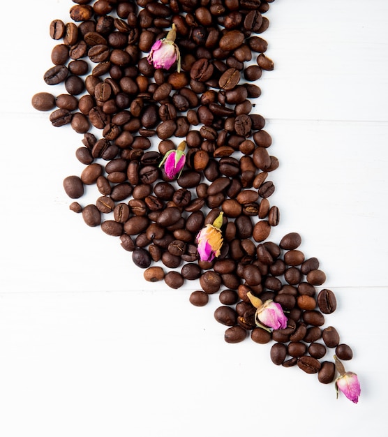 Top view of coffee beans and tea rose buds scattered on white background