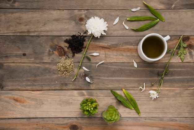 植物とトップビューのコーヒーカップ