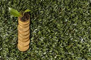 Free photo top view of coins on grass with plant and copy space