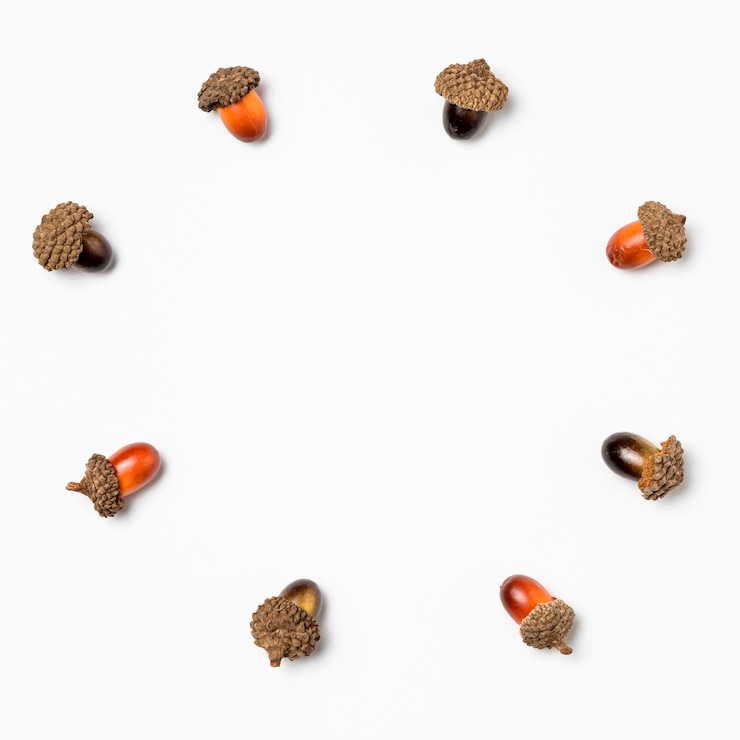 Free Photo top view collection of acorns with copy space