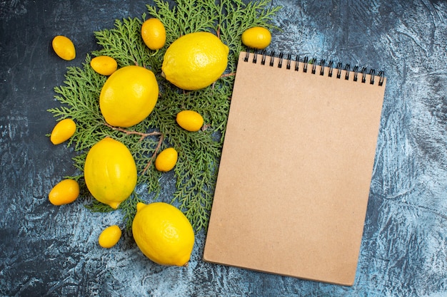 Top view of collection of fresh citrus fruits on fir branches and spiral notebook on dark background