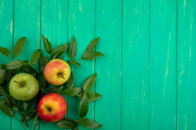 Top view of colored apples on leaf branches on a green surface