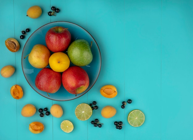 Top view of colored apples in a plate with apricots lime and black currants on a light blue surface