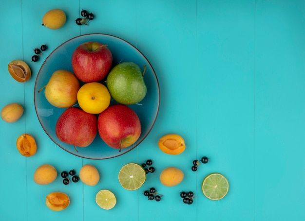 Вид сверху цветных яблок в тарелке с абрикосами, лаймом и черной смородиной на светло-голубой поверхности