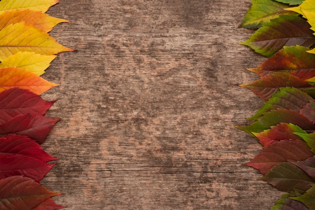 Vista dall'alto di foglie di autunno colorate su una superficie di legno con lo spazio della copia