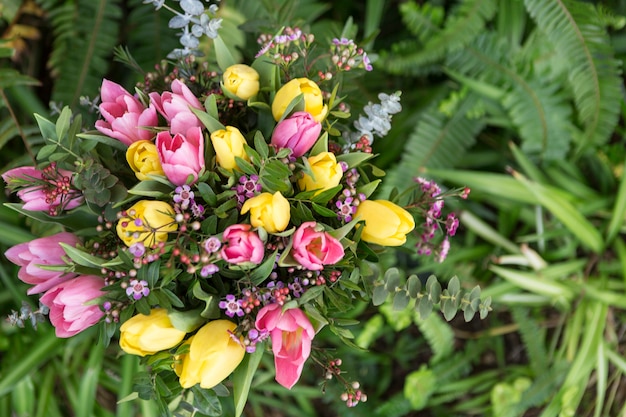 Top view of colored flowers surrounded by green plants