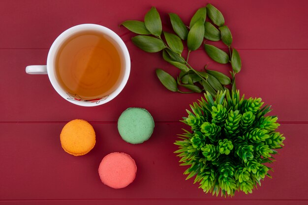Вид сверху цветных макарон с чашкой чая и ветками листьев на красной поверхности