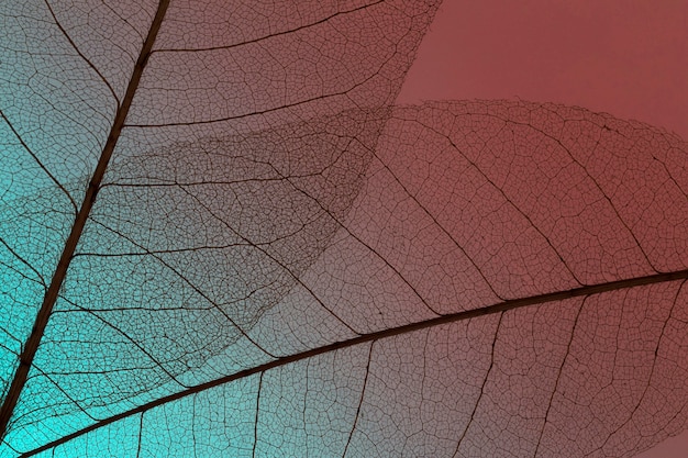 High Resolution Images - Free Download on Freepik High Resolution Images - Free Download on Freepik