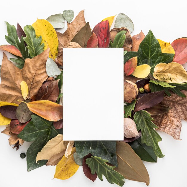 Top view of colorful autumn leaves with blank placard