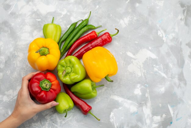 Top view colorful bell-peppers with peppers on grey