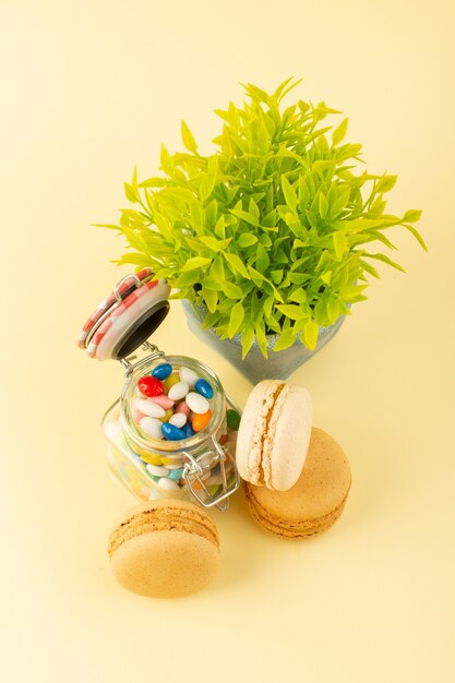 Free photo a top view colorful candies with french macarons and plant