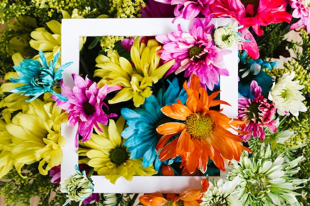 Top view colorful daisies with frame