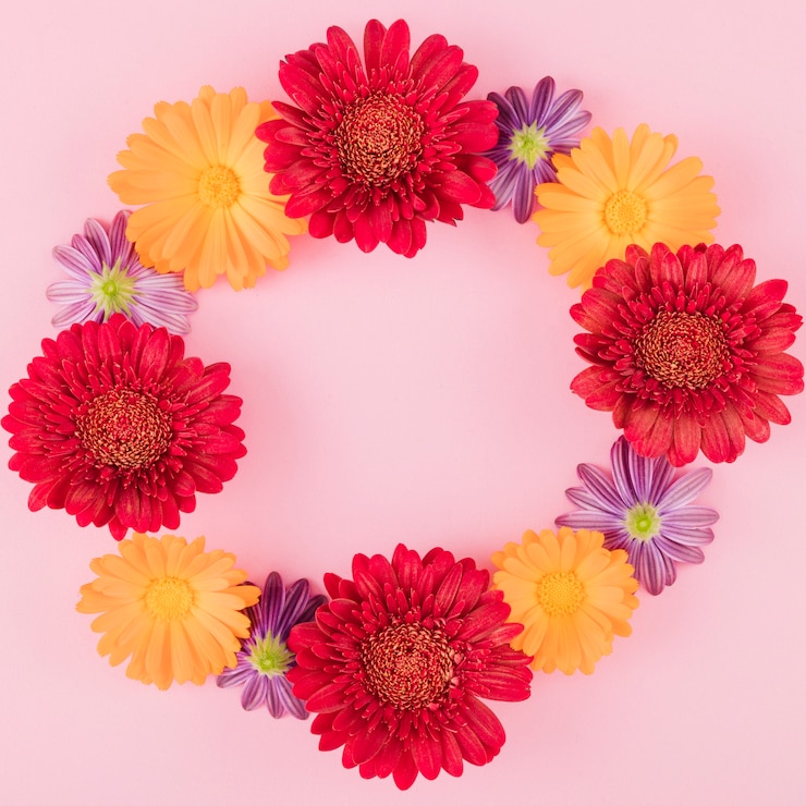 Free Photo top view colorful flowers