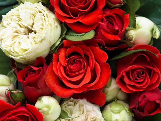 Top view of colorful flowers