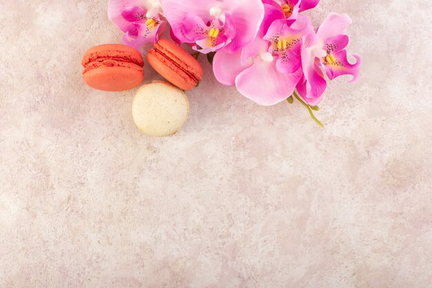 분홍색 책상 케이크 비스킷 설탕 색상에 꽃과 상위 뷰 다채로운 프랑스 마카롱