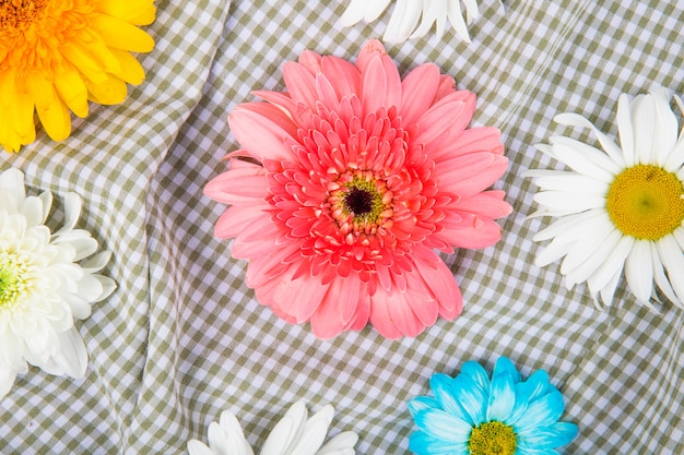 Foto gratuita la vista superiore della gerbera variopinta fiorisce con i fiori della margherita sul fondo del tessuto del plaid