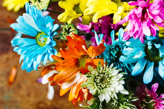 Free photo top view colorful group of daisies