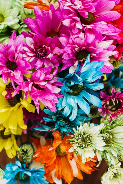 Top view colorful group of daisies